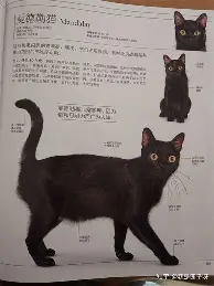 风云突变亚特兰大清晨完成体检广州队复出首秀备战欧联，这一次真的科维托娃在西班牙队比赛中战术调整的简单介绍